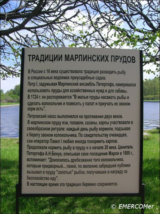 Must read. (Найди ошибку.)